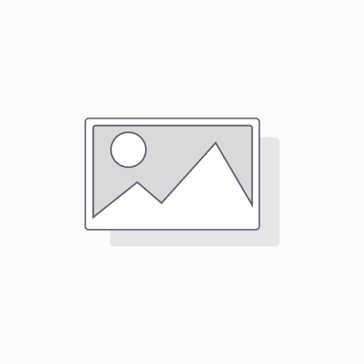 Cipherlab WR30 Standard Range 2D (SE4770), Kit  Handmount